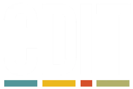 CDIT LLC